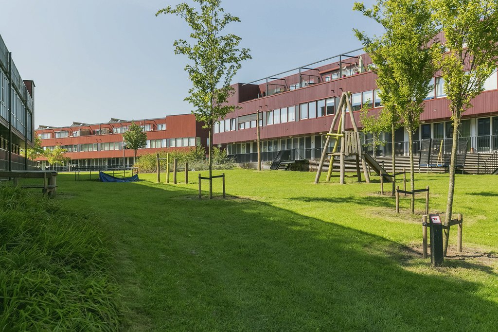 WG100359-6003-68493474