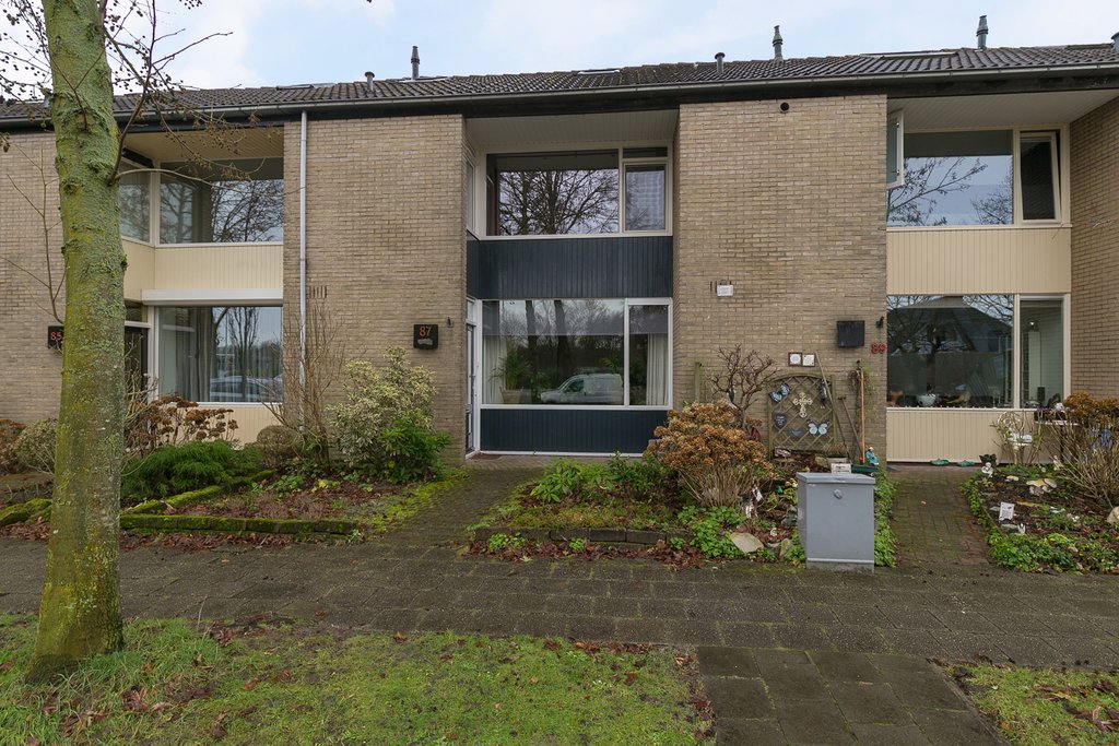 WG100554-6979-85437303