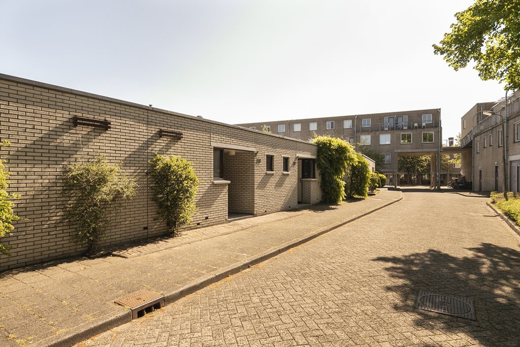 WG100602-7802-91170565