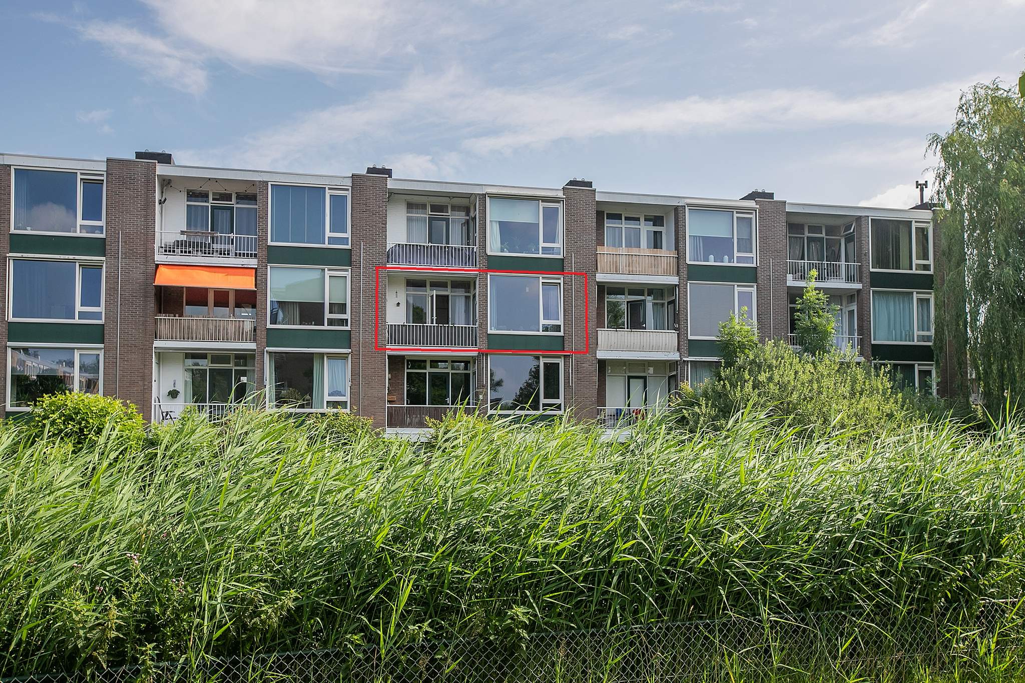 WG100856-12049-108684243