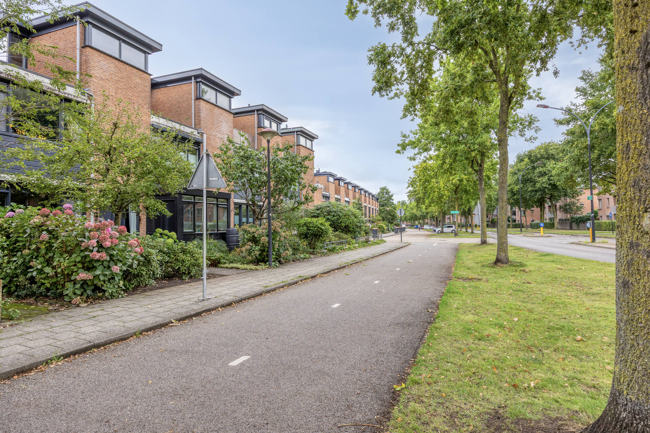 WG101277-21871-245863812