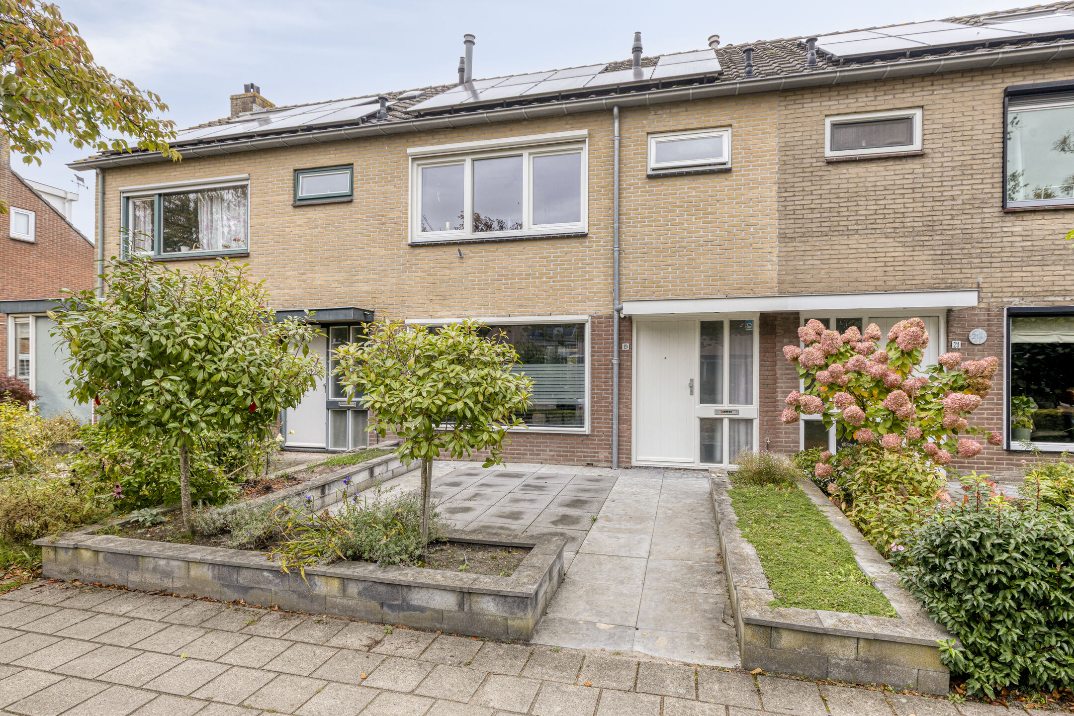 WG101278-21916-249547342