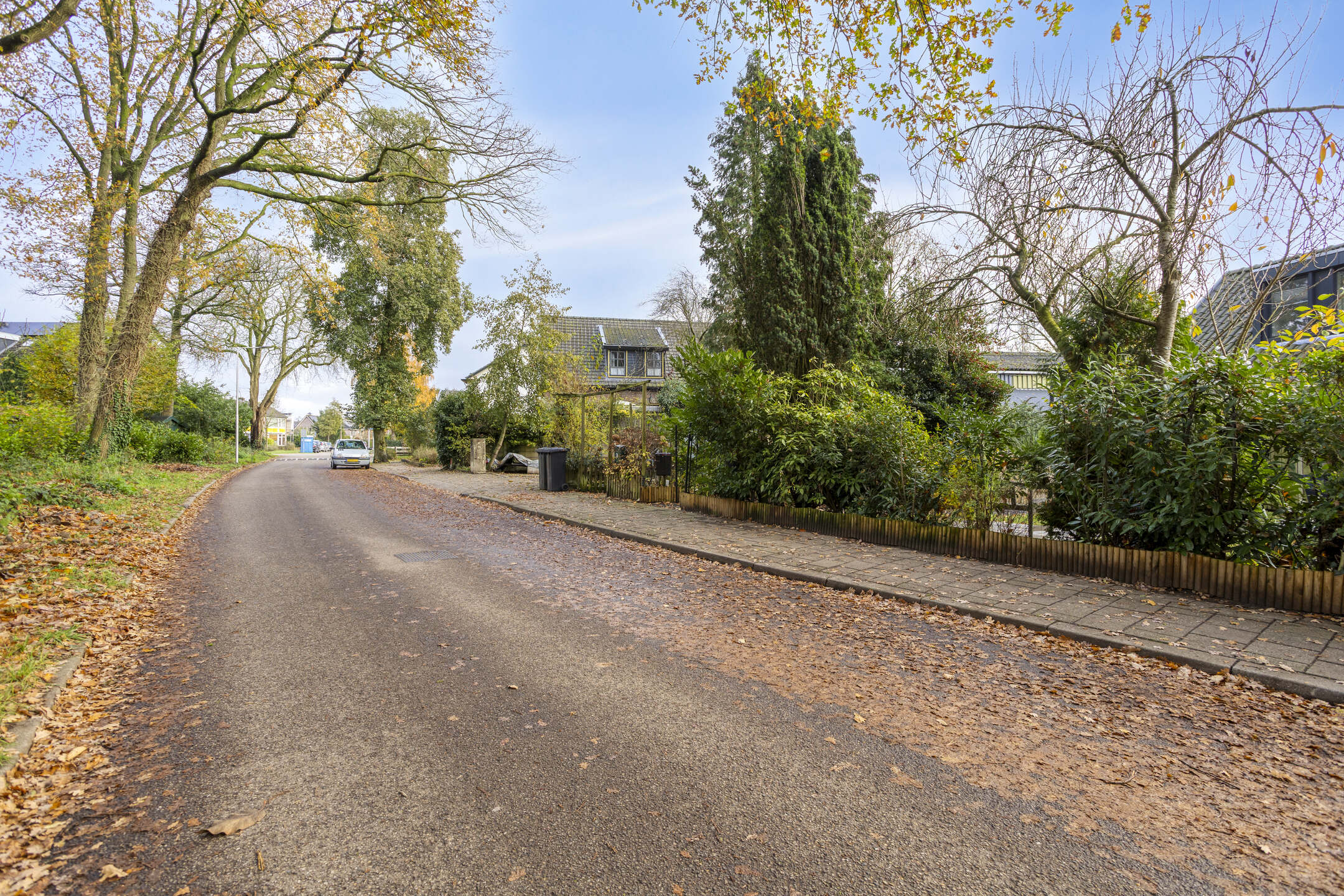 WG101281-22038-255368386