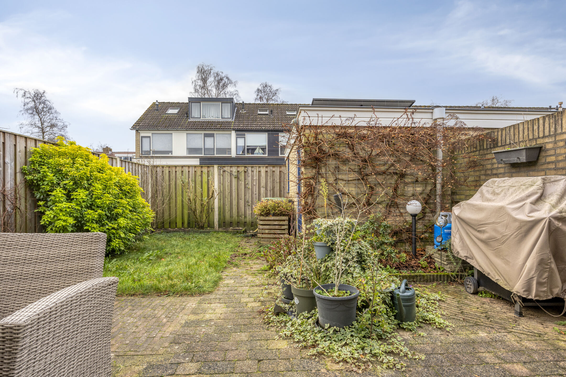 WG101282-22135-258199400